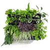 Jardinière verticale pour jardins verticaux